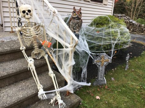 Halloween Decorations