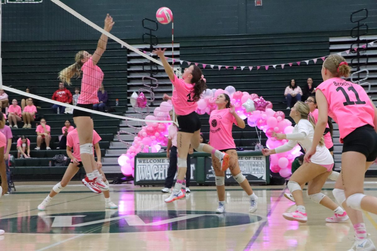 “Dig” For a Cure