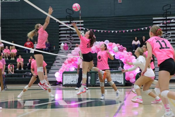 “Dig” For a Cure